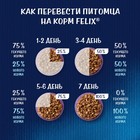 Влажный корм Felix Sensations для кошек, говядина/томат, в соусе, 75 г - Фото 5