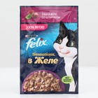 Влажный корм Felix Sensations для кошек, утка/шпинат в желе, 75 г - фото 299752505