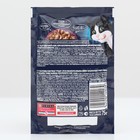 Влажный корм Felix Sensations для кошек, утка/шпинат в желе, 75 г - Фото 2