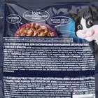 Влажный корм Felix Sensations для кошек, утка/шпинат в желе, 75 г - Фото 3