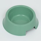 Миска, 400 мл, 17×17×5 см, пластик, оливковая - Фото 3