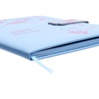 Дневник школьный для 1-11 классов "Котик с мышкой", твёрдая обложка с поролоном из искусственной кожи, тиснение фольгой, магнитный клапан, 48 листов, блок офсет 80г/м2, универсальная шпаргалка - фото 22296893