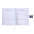 Дневник школьный для 1-11 классов "Котик с мышкой", твёрдая обложка с поролоном из искусственной кожи, тиснение фольгой, магнитный клапан, 48 листов, блок офсет 80г/м2, универсальная шпаргалка - фото 22296895