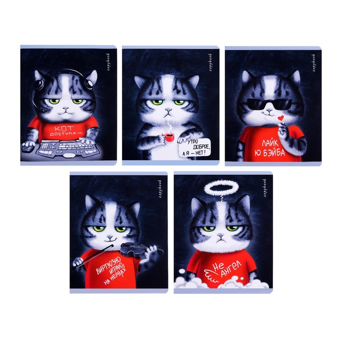 Тетрадь 48 листов в клетку "Аниме кот", обложка мелованный картон, ламинация "софт-тач", блок офсет, МИКС - Фото 1