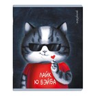 Тетрадь 48 листов в клетку "Аниме кот", обложка мелованный картон, ламинация "софт-тач", блок офсет, МИКС - Фото 12