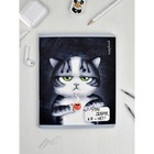 Тетрадь 48 листов в клетку "Аниме кот", обложка мелованный картон, ламинация "софт-тач", блок офсет, МИКС - Фото 8