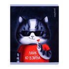 Тетрадь 48 листов в клетку "Аниме кот", обложка мелованный картон, ламинация "софт-тач", блок офсет, МИКС - Фото 9