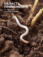 Средство от болезней растений «Флагрин-Д» (Нематодин), 10 г - Фото 2