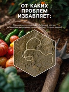 Средство от болезней растений «Флагрин-Д» (Нематодин), 10 г - Фото 3