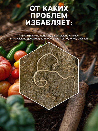 Средство от болезней растений «Флагрин-Д» (Нематодин), 100 г