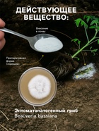 Средство от насекомых и вредителей «Боверин», 50 г - Фото 5