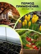 Средство от насекомых и вредителей «Метаризин», 250 г - Фото 6