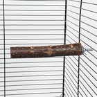 Одинарная древесная жердочка для птиц "Сила природы" с лакомством длина 17 см, диаметр 1,8-2 - фото 6952570