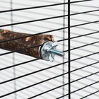 Одинарная древесная жердочка для птиц "Сила природы" с лакомством длина 17 см, диаметр 1,8-2 - фото 6952571