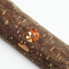 Жёрдочка для птиц «Сила природы», 17 см, диаметр 1.8-2 см, одинарная, с лакомством, дерево - Фото 5