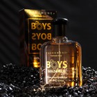 Парфюмированный лосьон с феромонами для мужчин "Formula Sexy" Boys Gold & Wild, 100 мл (по мотивам 1 Million (P.Rabanne) - фото 296872255