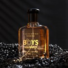 Парфюмированный лосьон с феромонами для мужчин «Formula Sexy» Boys Gold & Wild, 100 мл (по мотивам 1 Million (P.Rabanne) - Фото 2