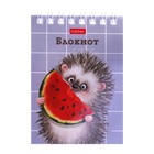 Блокнот А7, 40 листов на гребне в клетку «Хорошо быть ёжиком», обложка мелованный картон, блок офсет 65 г/м² - Фото 4