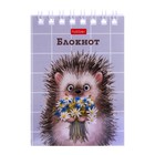 Блокнот А7, 40 листов на гребне в клетку «Хорошо быть ёжиком», обложка мелованный картон, блок офсет 65 г/м² - Фото 6