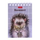 Блокнот А7, 40 листов на гребне в клетку «Хорошо быть ёжиком», обложка мелованный картон, блок офсет 65 г/м² - Фото 7