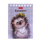 Блокнот А7, 40 листов на гребне в клетку «Хорошо быть ёжиком», обложка мелованный картон, блок офсет 65 г/м² - Фото 8