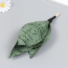 Искусственное растение для творчества "Сансевиерия Сильвер" 24х9 см - фото 22298314