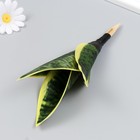 Искусственное растение для творчества "Сансевиерия Компакта" 23х9 см - фото 24385979