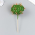 Искусственное растение для творчества "Кактус Гимнокалициум" 8х10,5 см длинна 16 см - фото 1358681