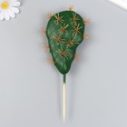 Искусственное растение для творчества "Кактус Опунция" 13,5х7 см длинна 20 см - фото 10577034