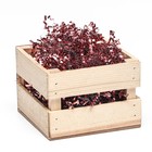 Наполнитель ламинированный, 50 г, розовое золото - Фото 2