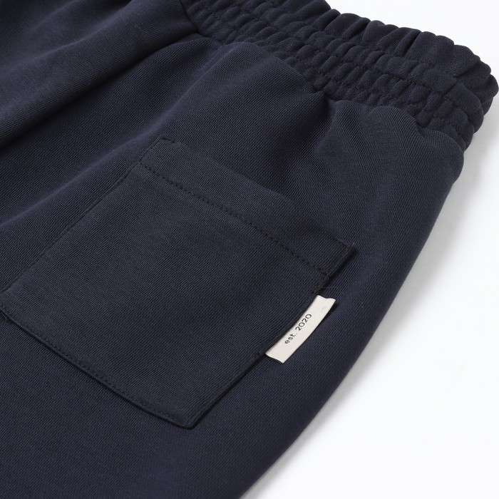 Брюки спортивные мужские MIST Men's casual р. 48, цвет синий 63597