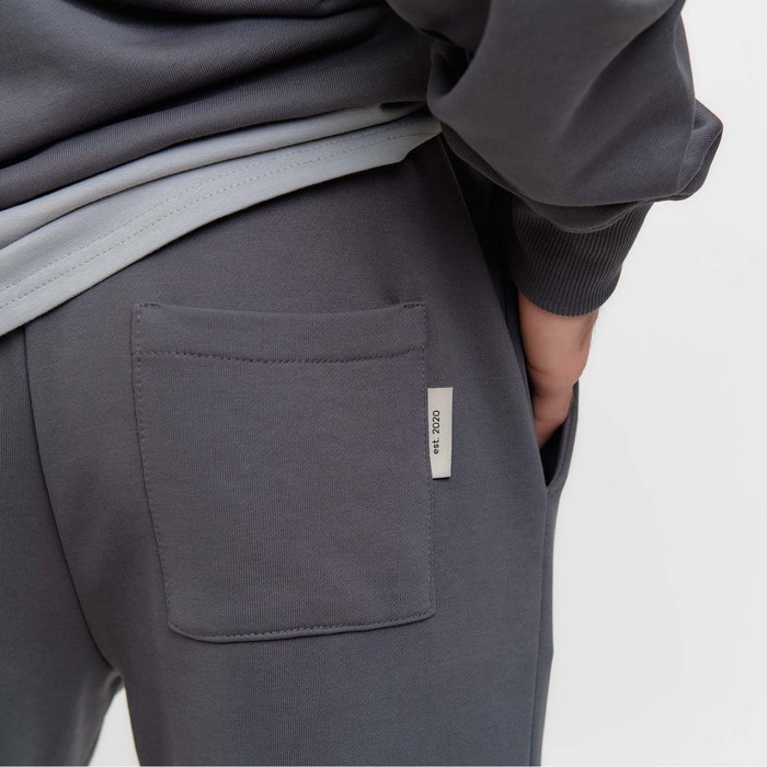 Брюки спортивные мужские MIST Men's casual р. 52, цвет графитовый 63604