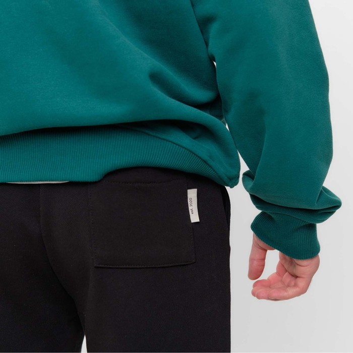 Брюки спортивные мужские MIST Men's casual р. 48, цвет чёрный 63607