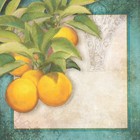 Декупажная карта "Лимон" плотность 45г/м2, формат А4 (комплект 5 шт) - фото 30800433