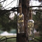 Гирлянда «Нить» 2 м роса с пробкой, IP20, серебристая нить, 20 LED, свечение тёплое белое, LR44х3 - Фото 3