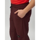 Джоггеры для мальчика, рост 146 см, цвет бордовый - Фото 11