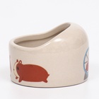 Миска керамическая «Хомячки» 65 мл, 6.3×4.5 см, бежевая с принтом - Фото 3