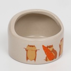 Миска керамическая «Хомяки» 65 мл, 6.3×4.5 см, бежевая с принтом - Фото 2