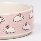 Миска керамическая "Кролики" 200мл, 10,5 х 4 см, розовая - фото 9929462