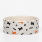 Миска керамическая «Кошки-рыбки» 300 мл - 11.5×11.5×5 см, бежевая - Фото 3