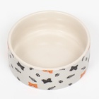 Миска керамическая «Кошки-рыбки» 300 мл - 11.5×11.5×5 см, бежевая - Фото 4