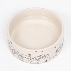 Миска керамическая «Любовь и кошки» 300 мл - 11.5×11.5×5 см, белая - Фото 4