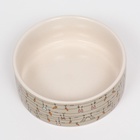 Миска «Кроличьи игрушки», 300 мл, 11.5×5 см, керамика, бело-серая - Фото 4