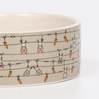 Миска «Кроличьи игрушки», 300 мл, 11.5×5 см, керамика, бело-серая - Фото 5