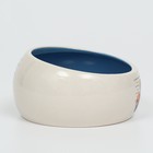 Миска керамическая со скошенным краем "Tasty" 200мл, 10,5 х 5,6 см, голубая - Фото 2