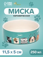 Миска керамическая «Кошки-собаки» 250 мл - 11.5×11.5×5 см, голубая/белая - Фото 1