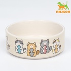 Миска керамическая «Парные коты» 200 мл - 10.5×10.5×4 см, белая - Фото 2