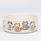 Миска керамическая «Парные коты» 200 мл - 10.5×10.5×4 см, белая - Фото 3