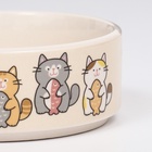 Миска керамическая «Парные коты» 200 мл - 10.5×10.5×4 см, белая - Фото 5