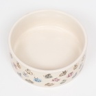 Миска керамическая «Кролик» 300 мл, 11.5×4.5 см, бежевая - Фото 4